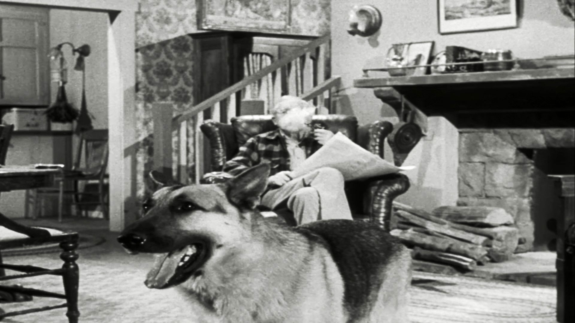 The Case of the Lazy Lover