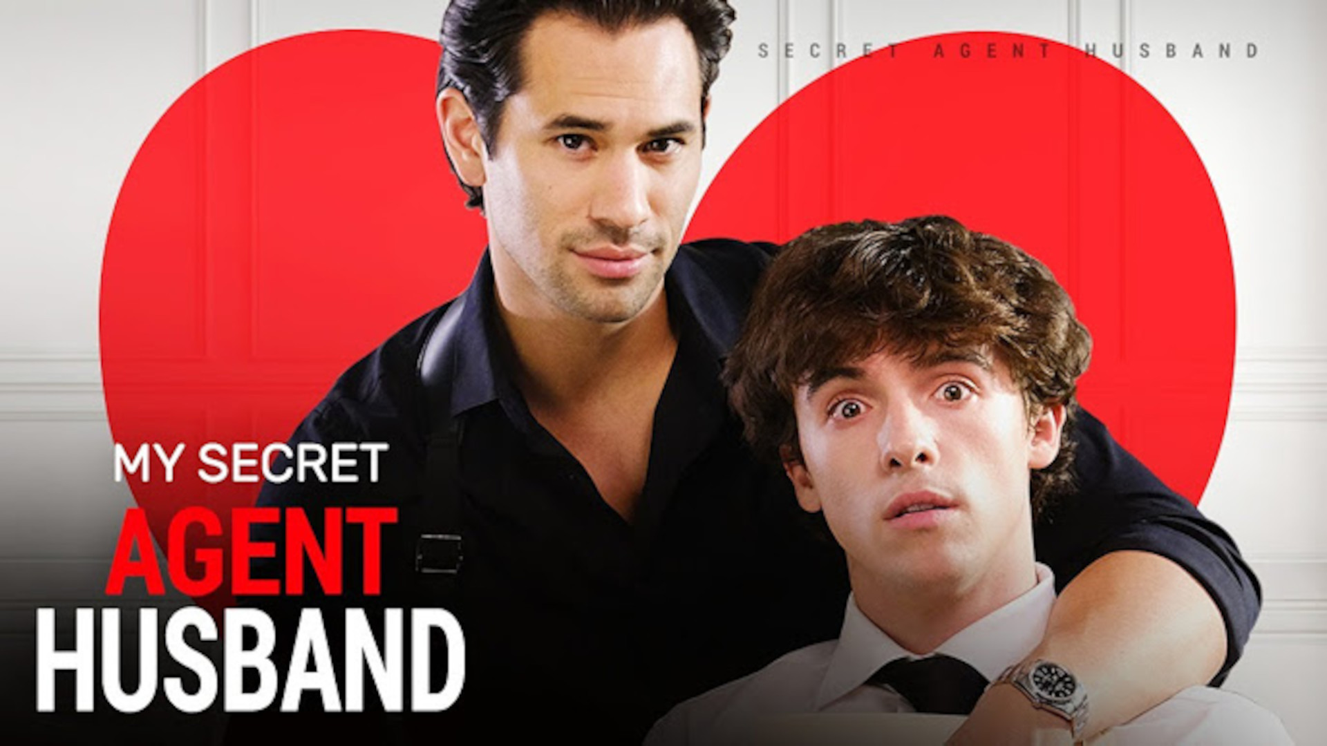 My Secret Agent Husband