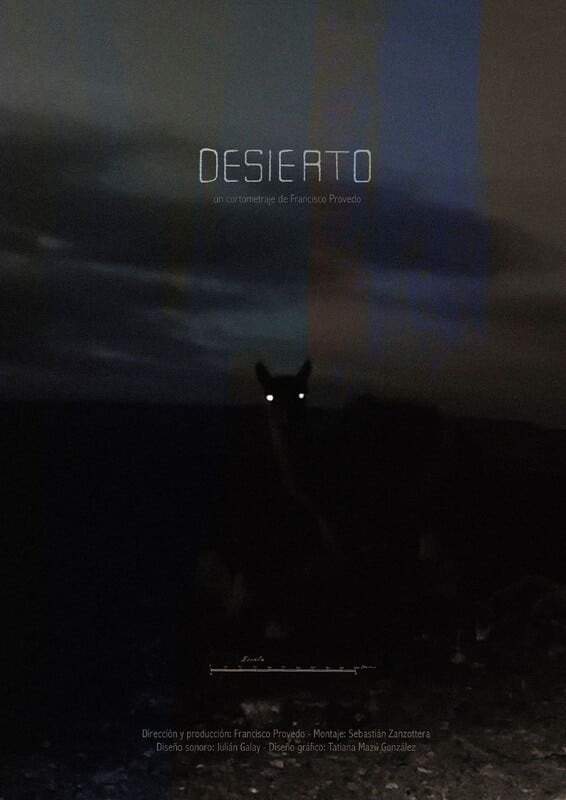 Poster de Desierto