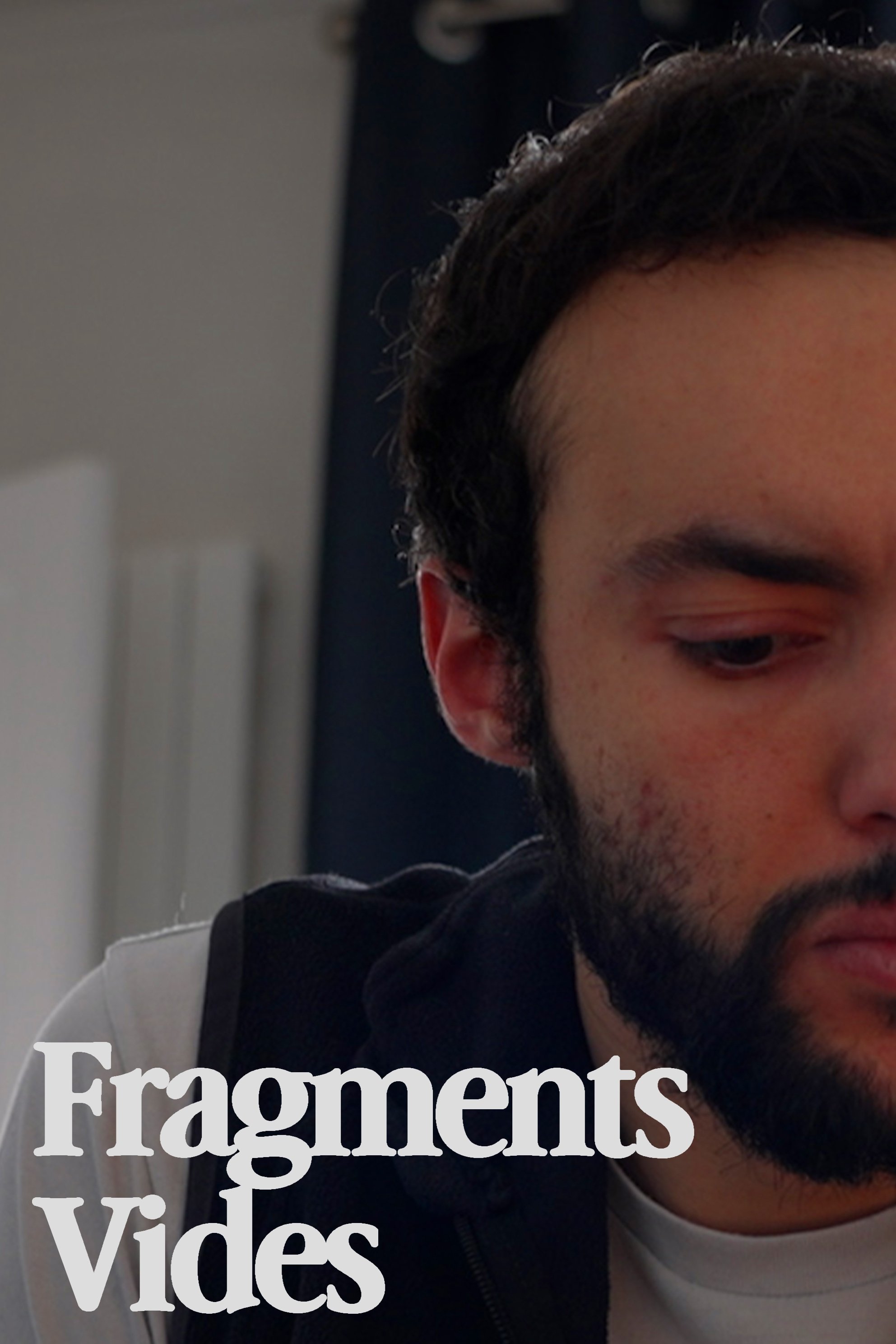 Poster de Fragments Vides