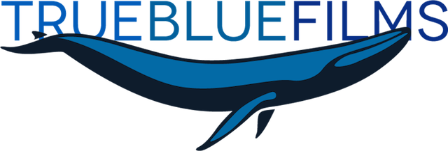 True Blue Films