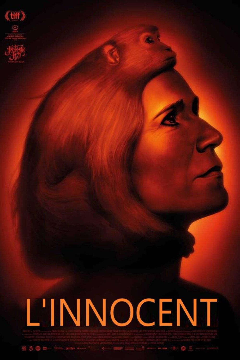 Affiche du film Der Unschuldige