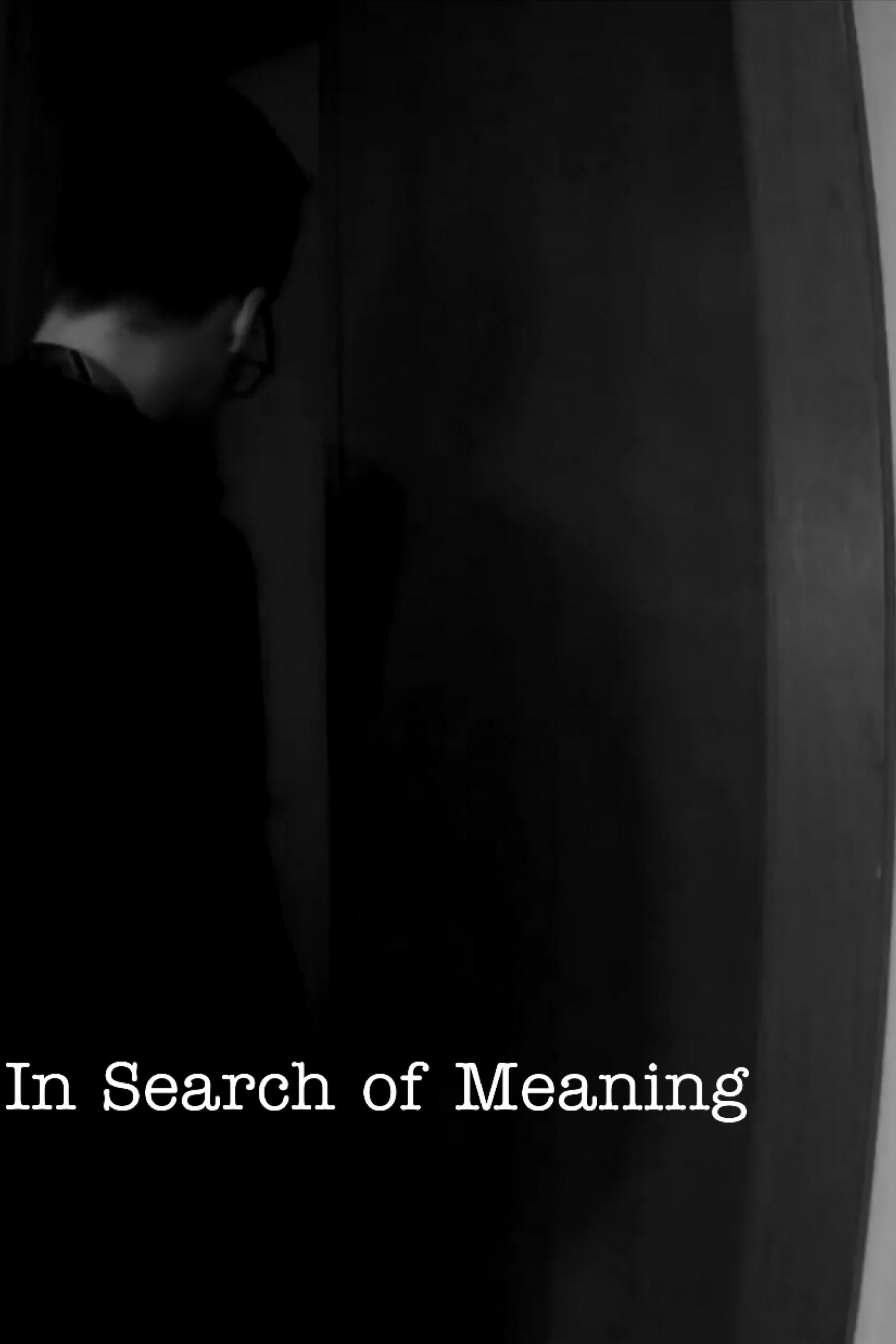 Poster de In Search of Meaning