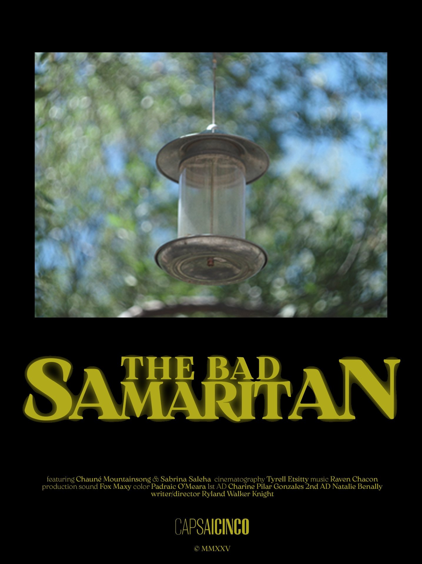 Poster de The Bad Samaritan