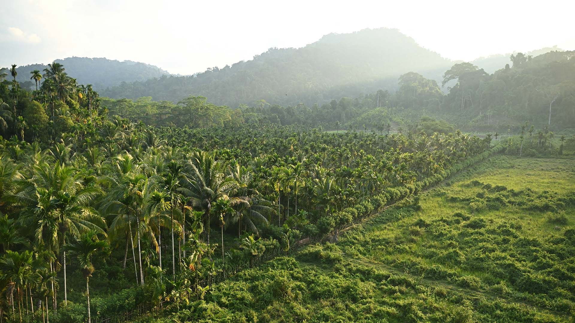 Why is India demolishing a paradise island?