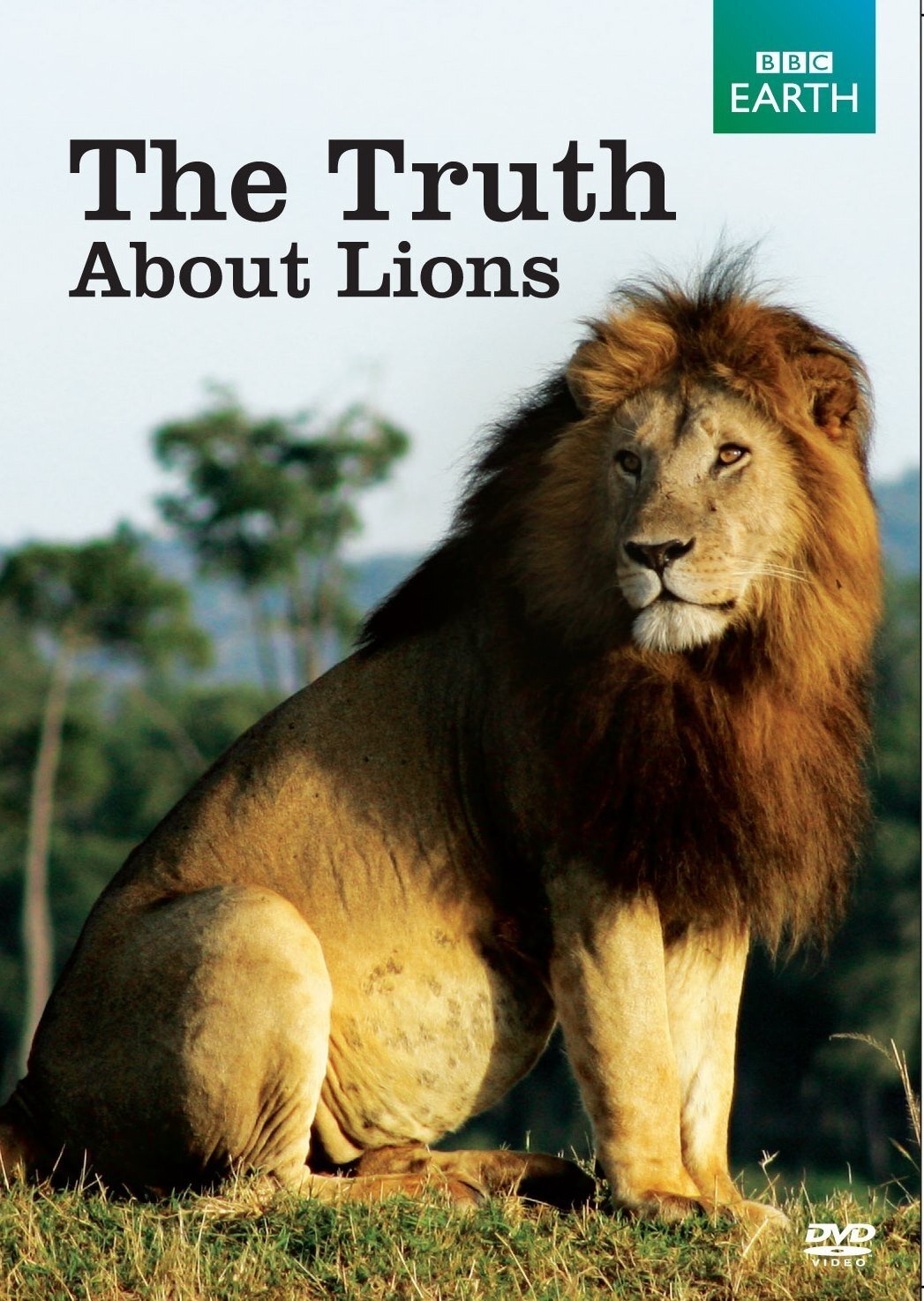 Poster de The Truth About Lions