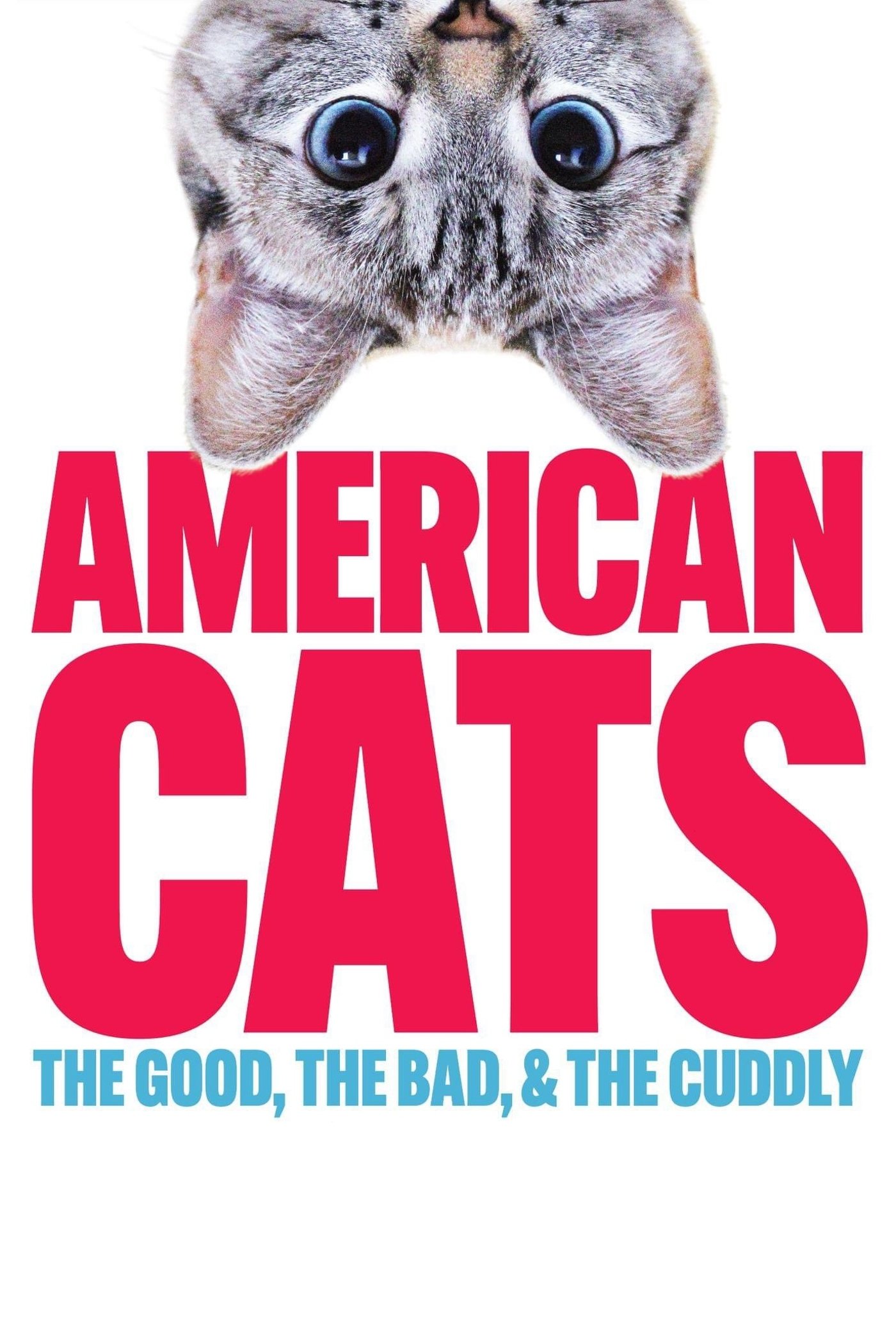 Poster de American Cats: The Good, the Bad, and the Cuddly