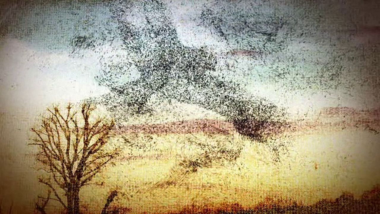 B.J. and the Seven Lady Truckers (1)