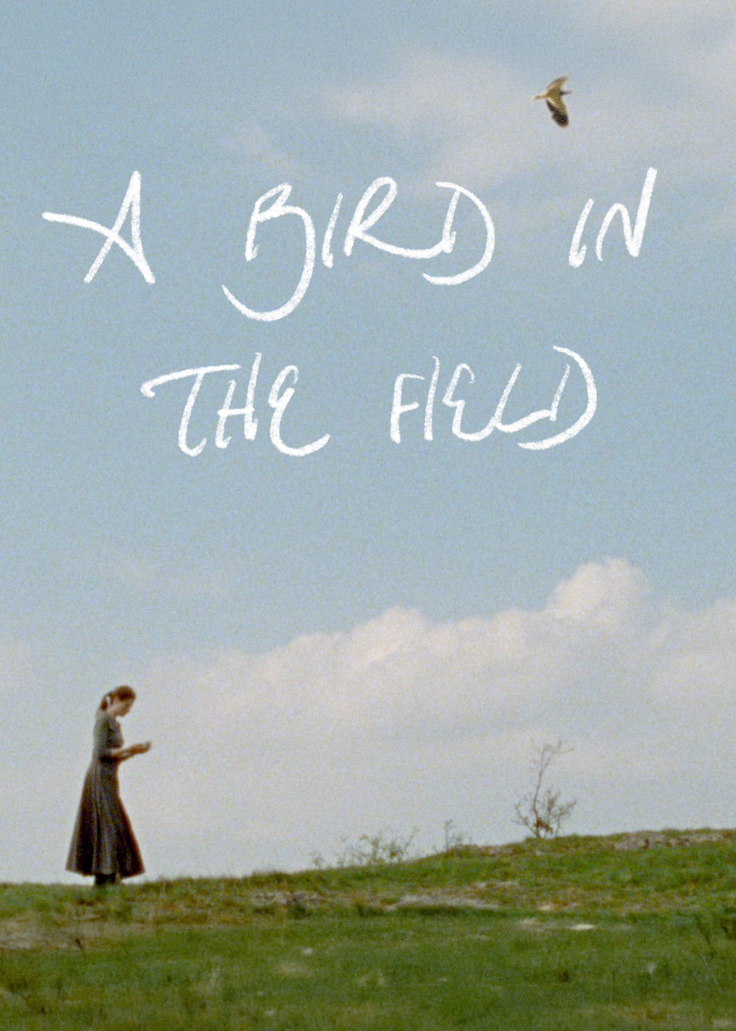 Poster de A Bird in the Field