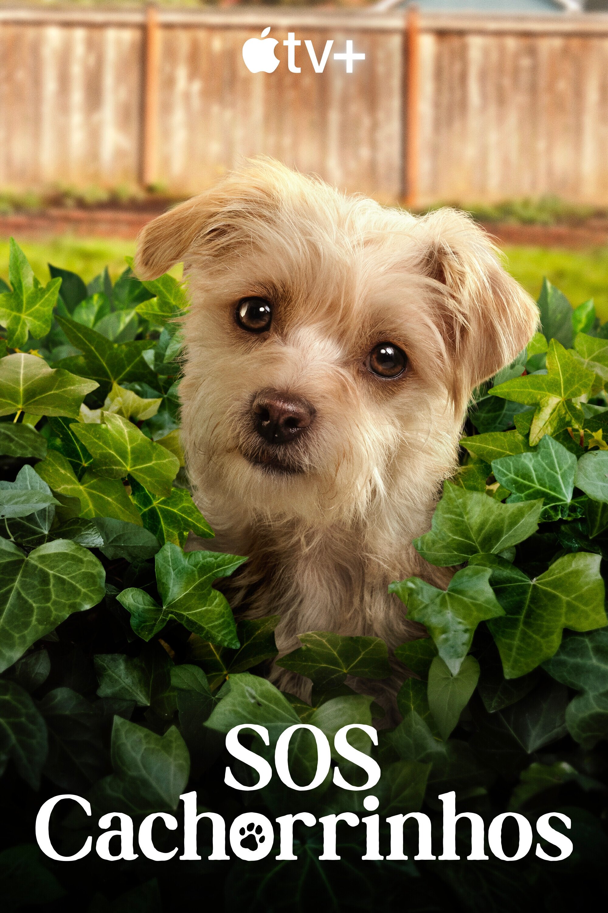 Poster de SOS Cachorrinhos