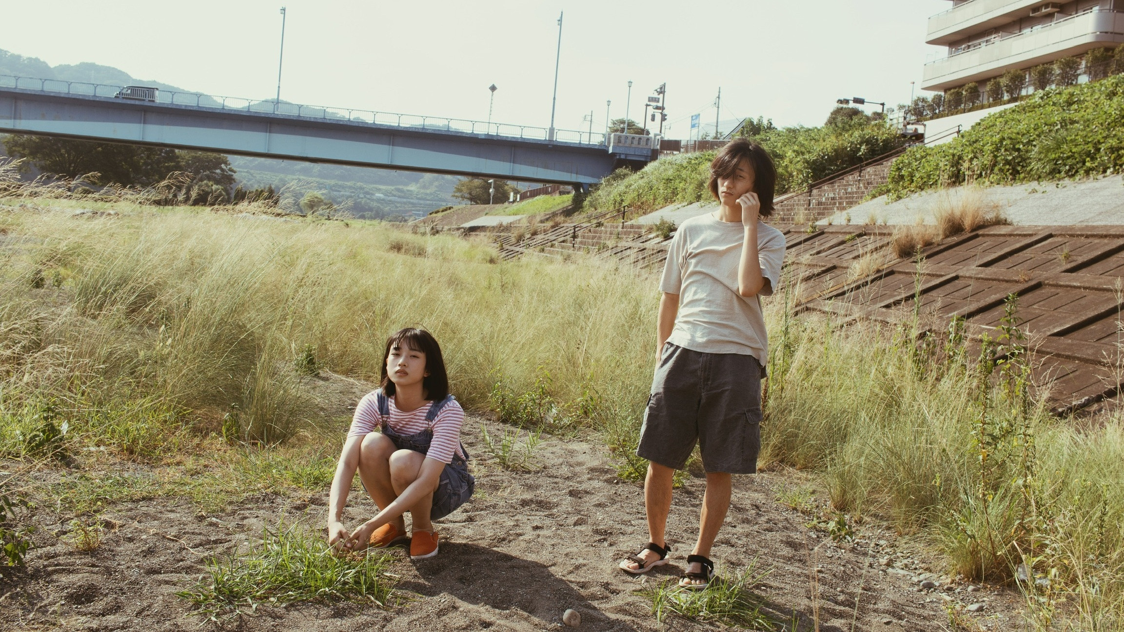 Director