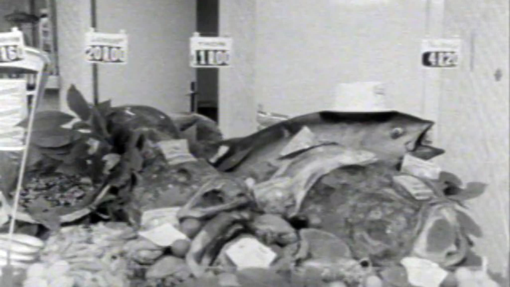 International Operations