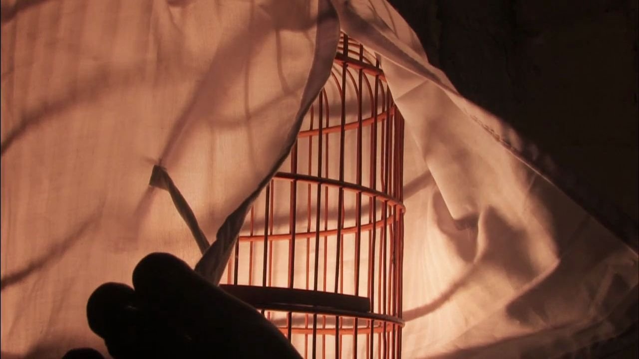 Backdrop image