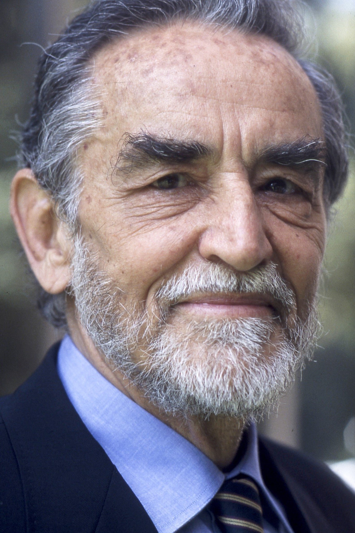 Foto de Vittorio Gassman
