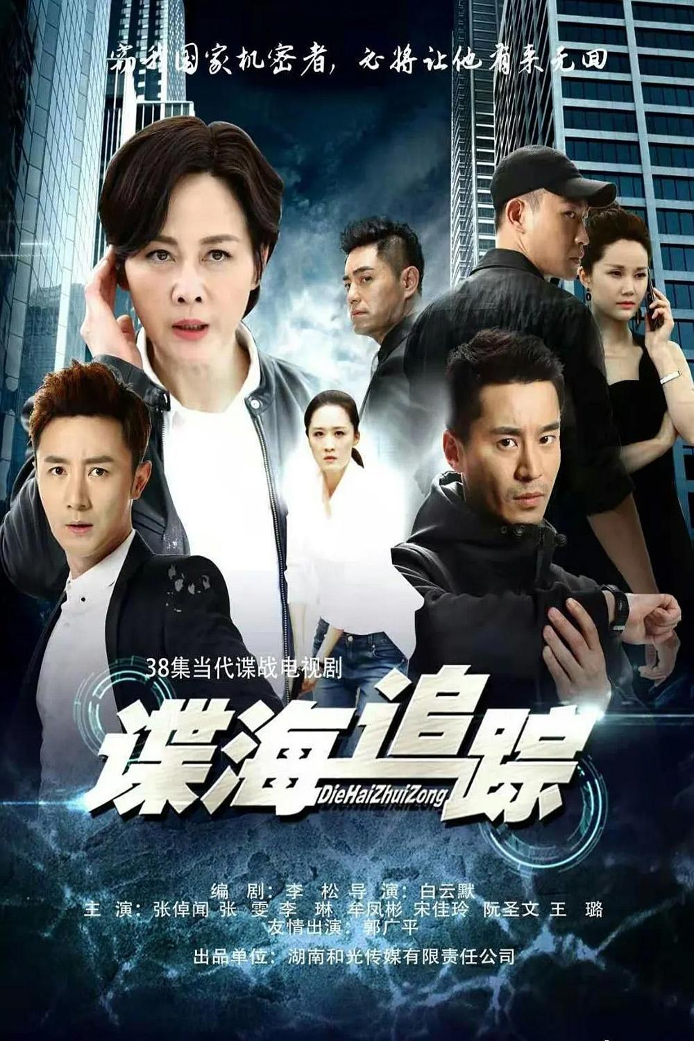 Poster de 谍海追踪