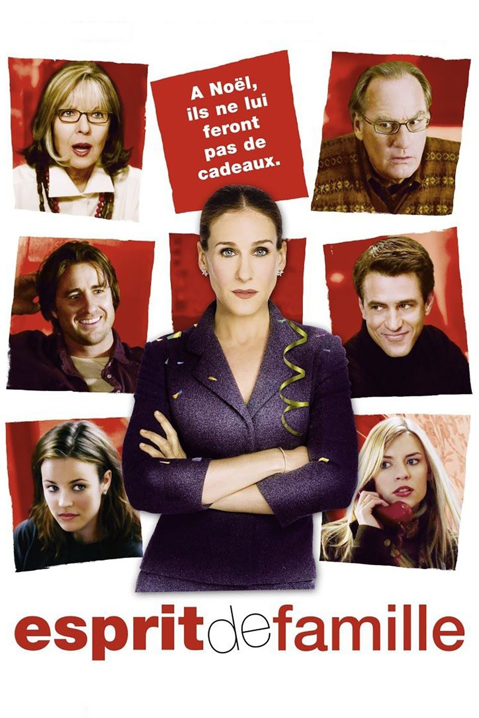 Affiche du film The Family Stone