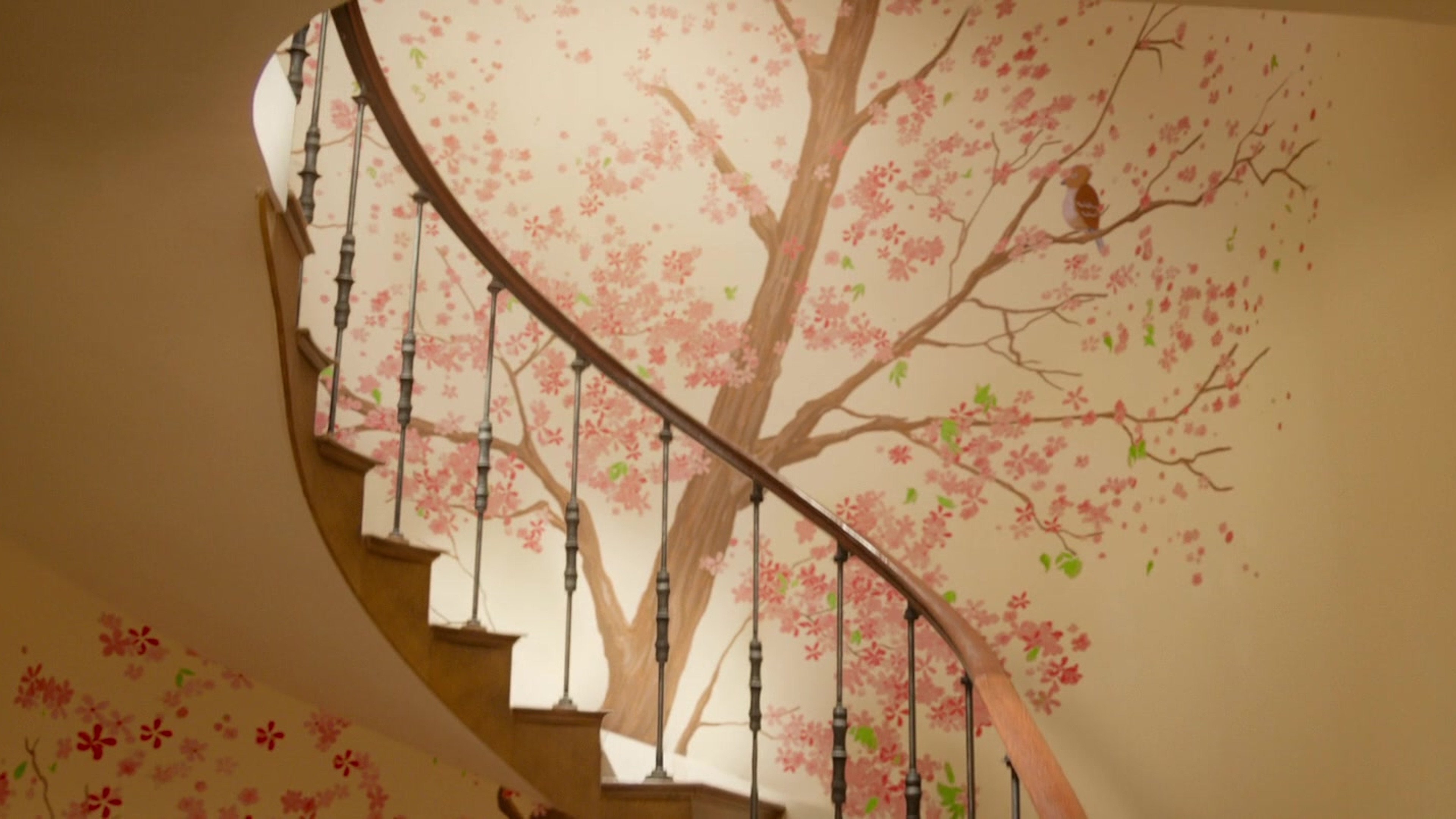 backdrops