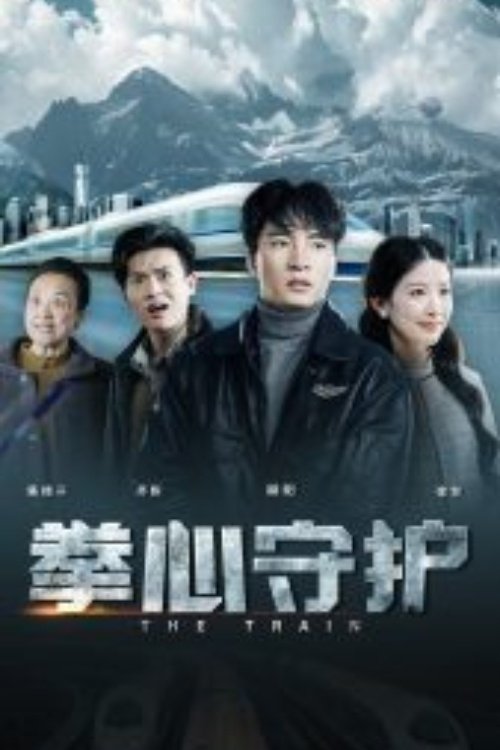 Poster de 拳心守护
