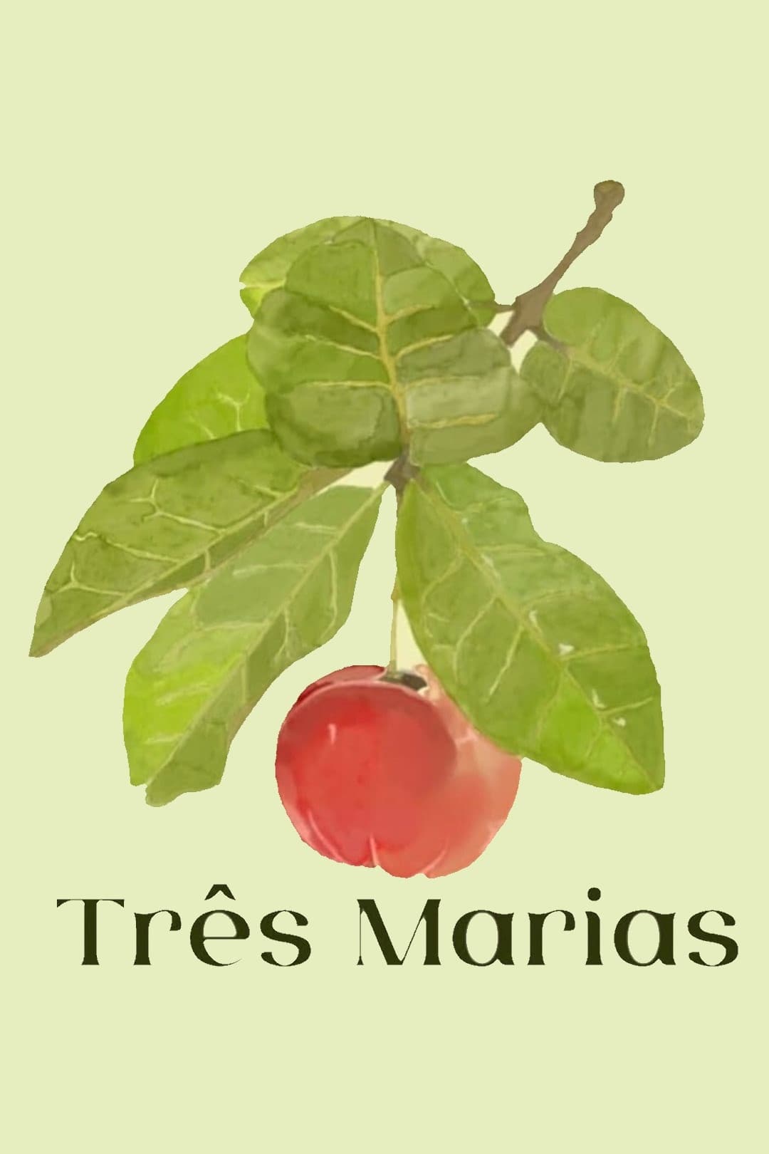 Poster de Três Marias