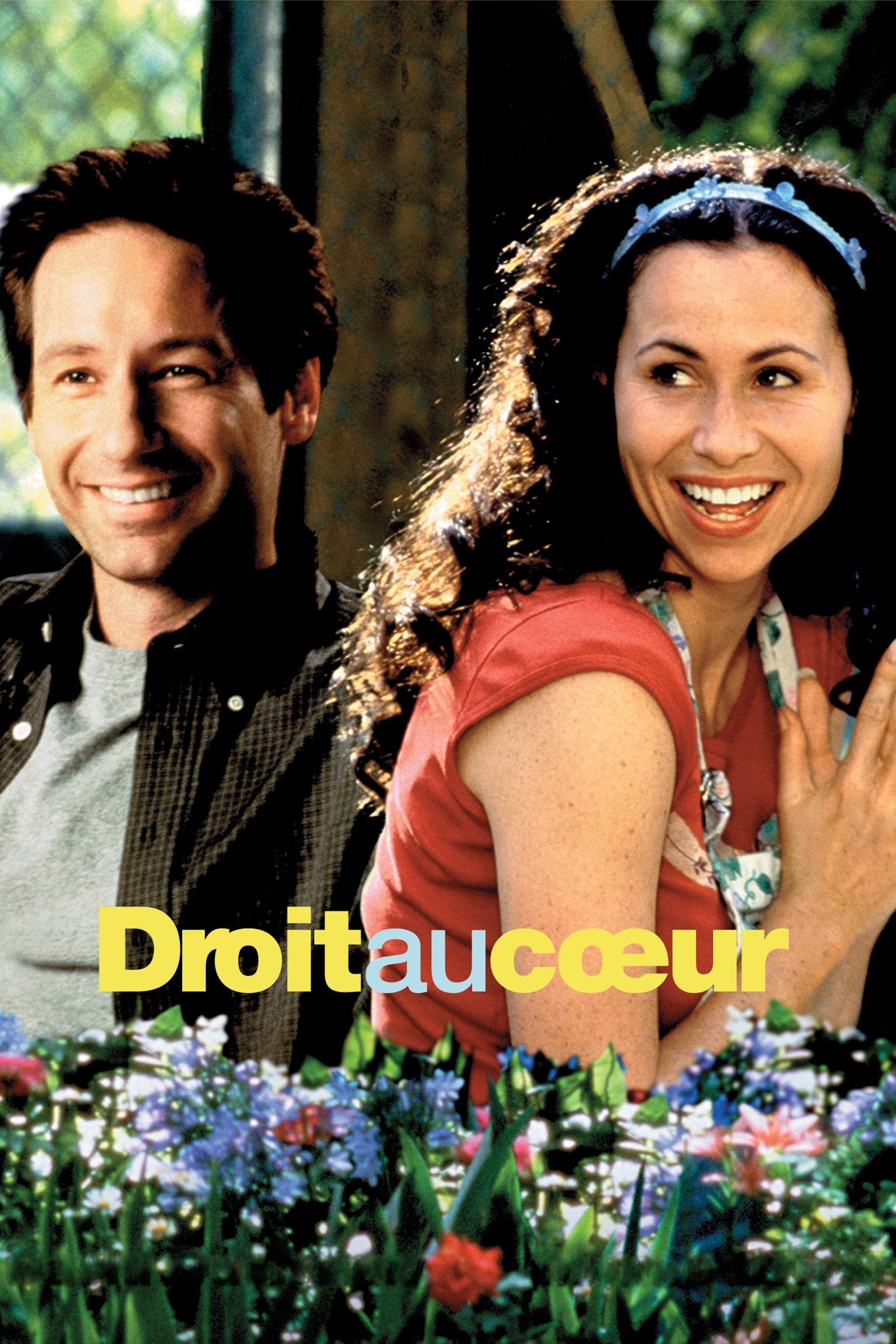 Affiche du film Return to Me