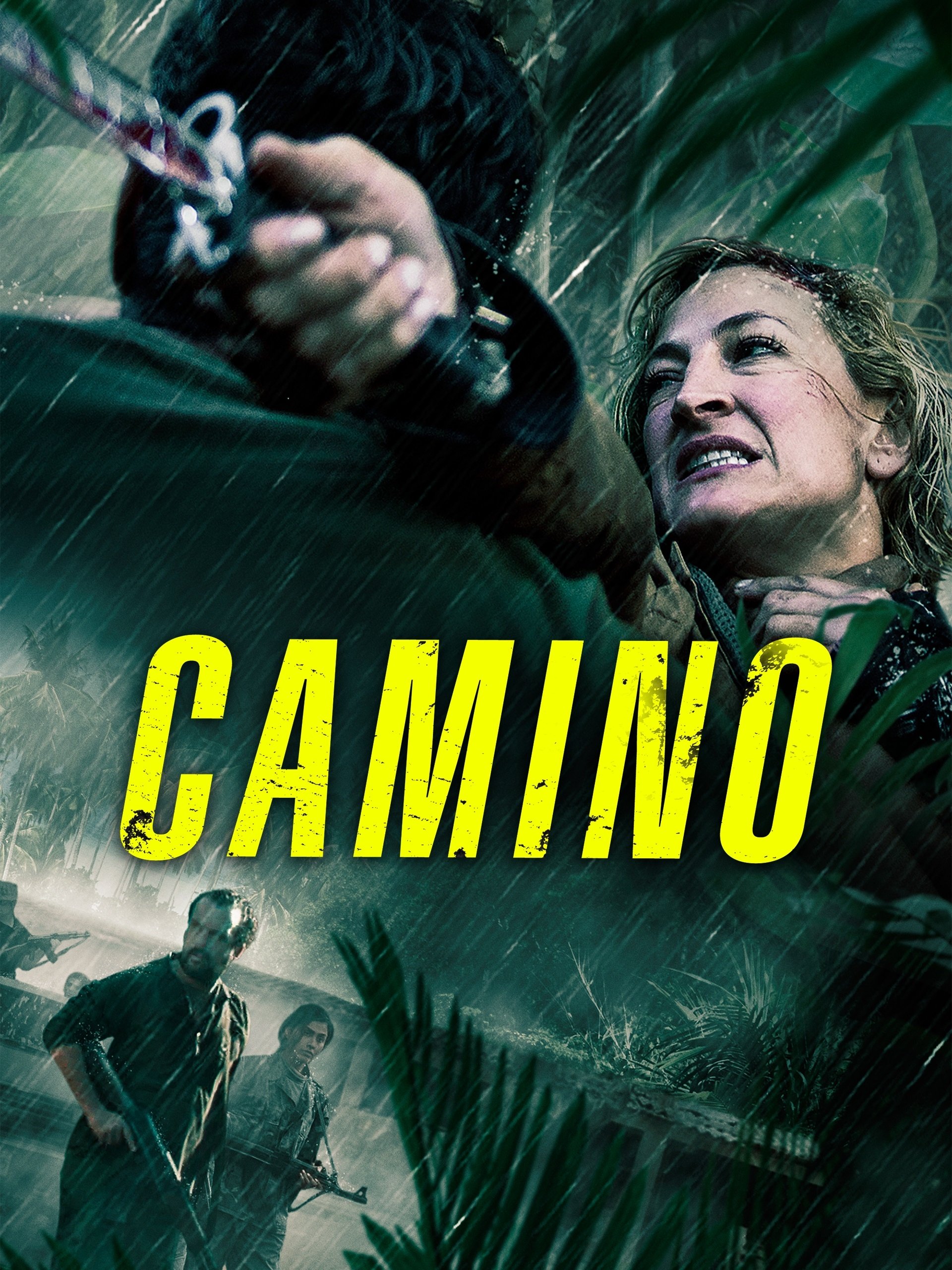 Poster de Camino