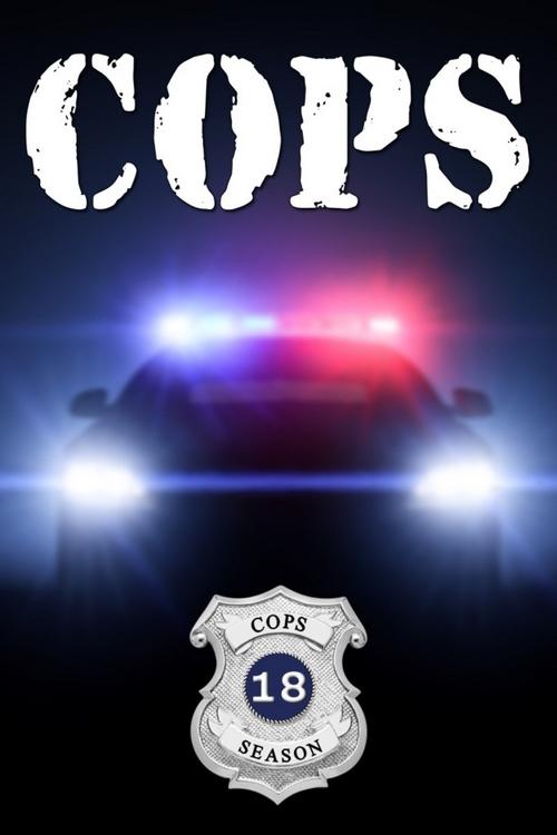 Poster de Temporada 18