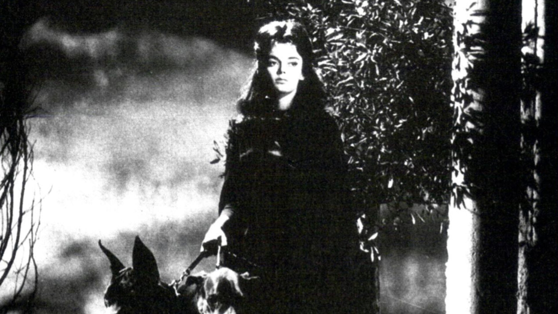 Backdrop image