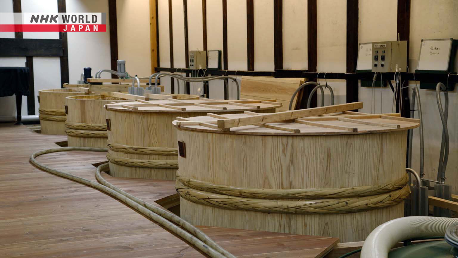 Design Hunting in Fukushima