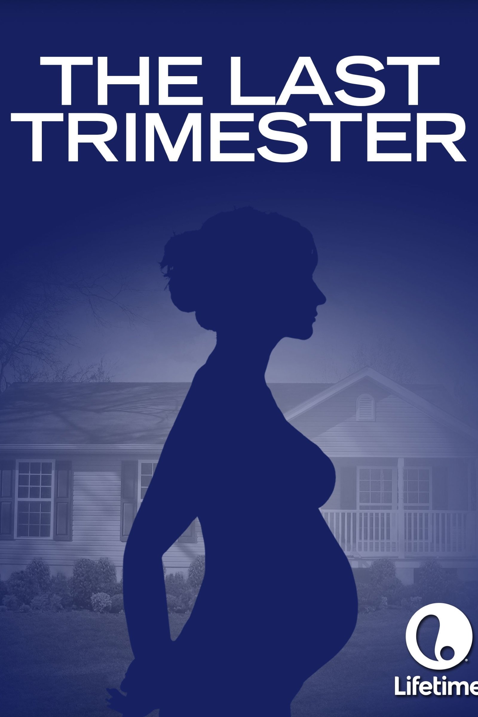 Affiche du film The Last Trimester