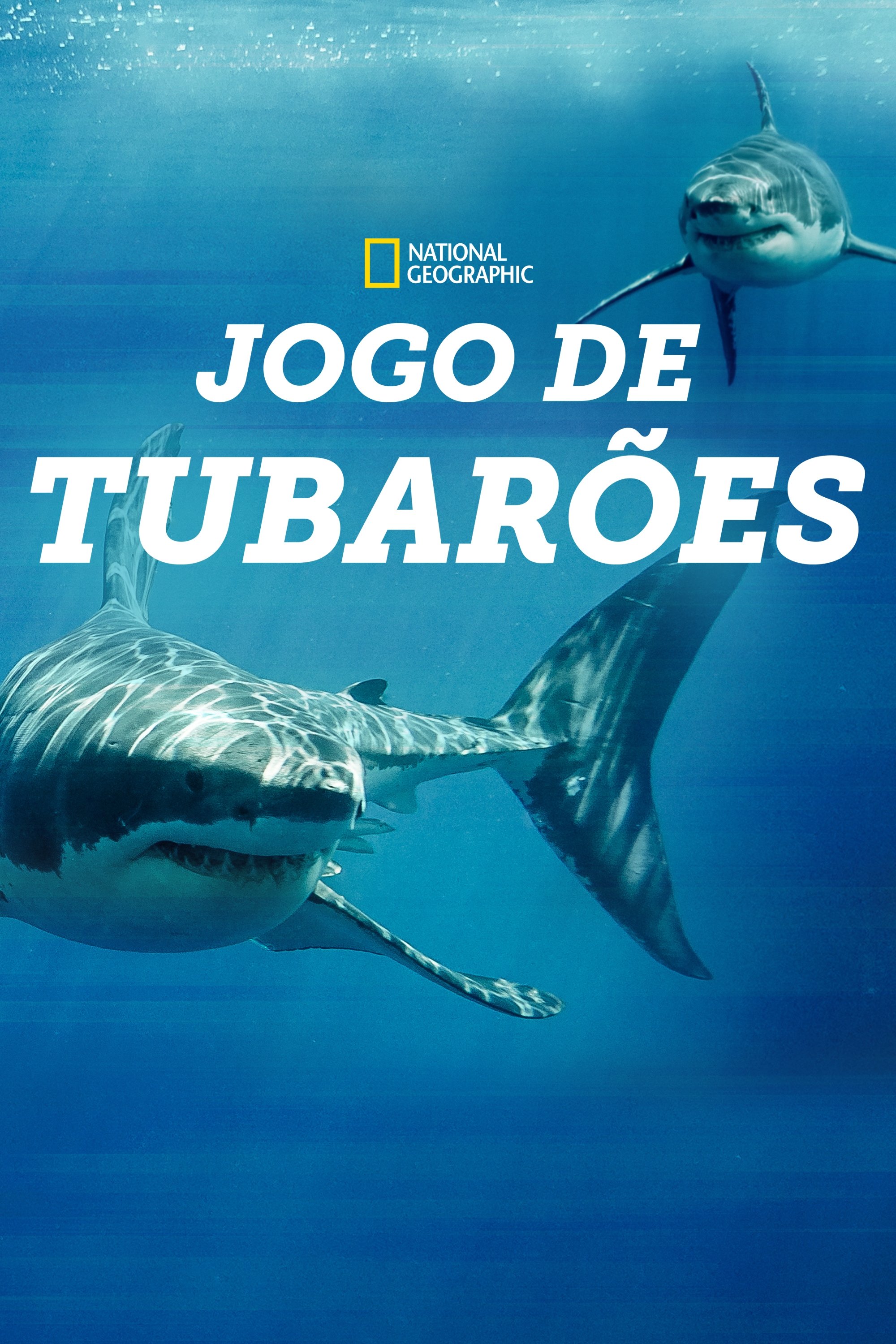 Poster de Jogo de Tubarões