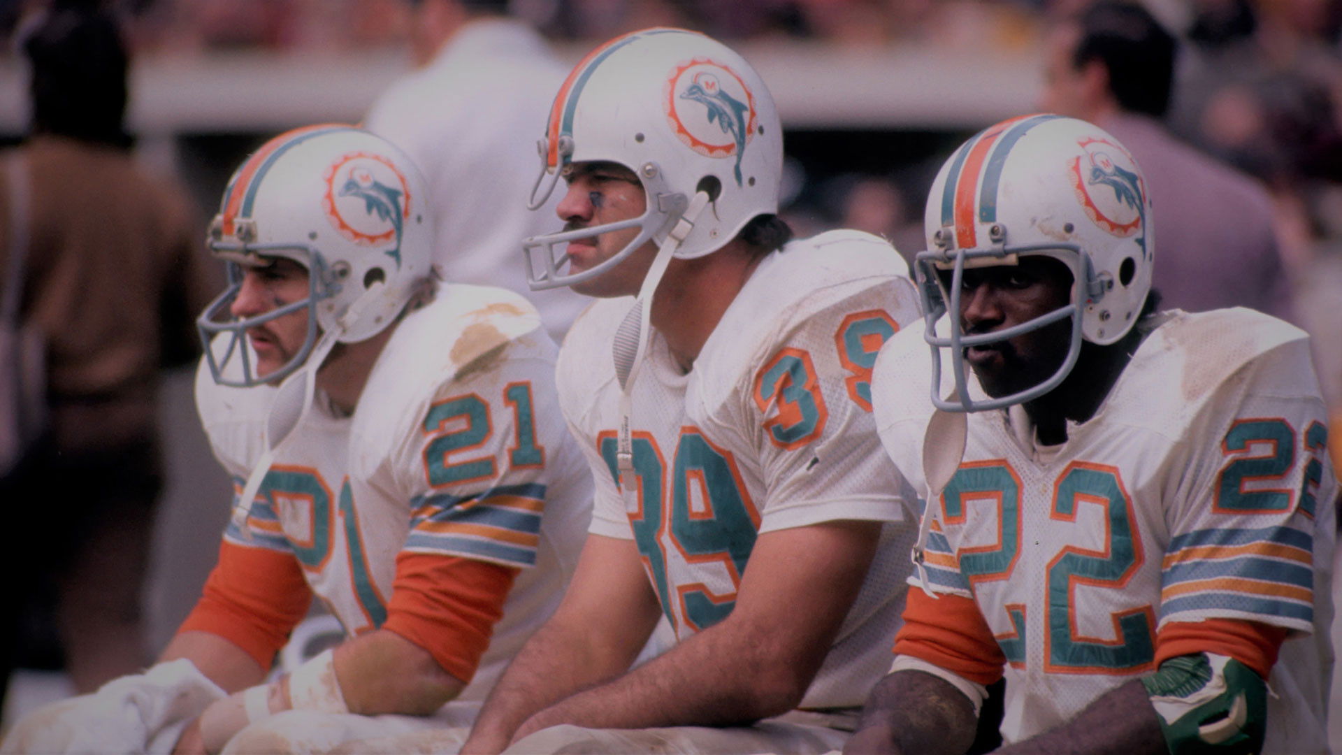 Dolphins - Moments & Legends