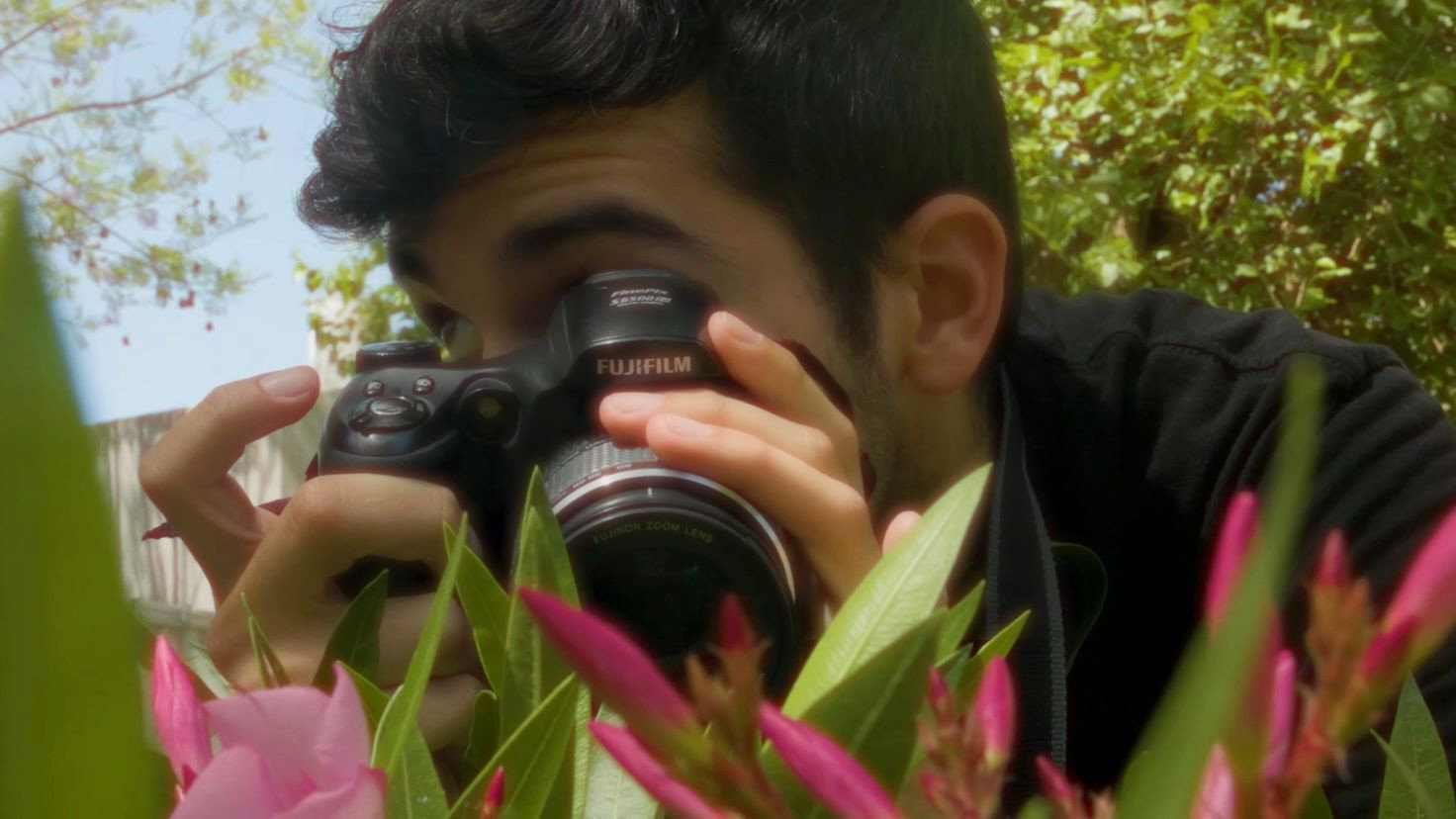 Director