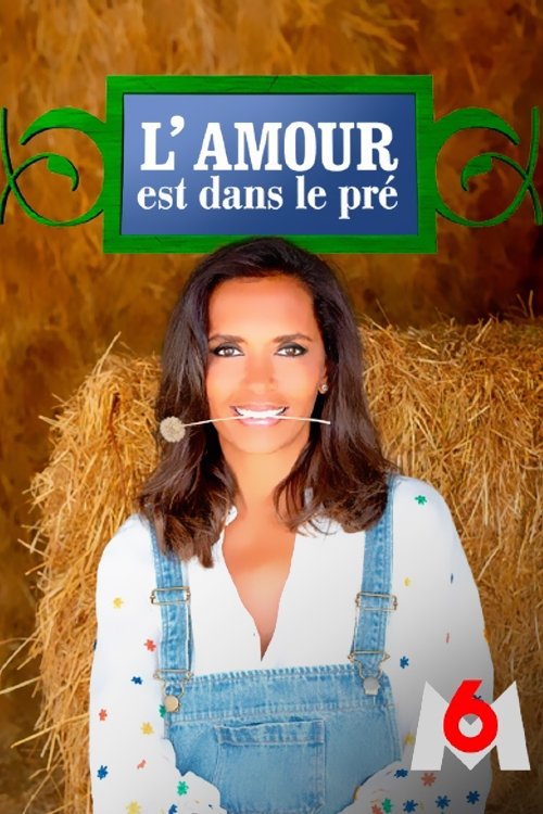 Poster de Temporada 8