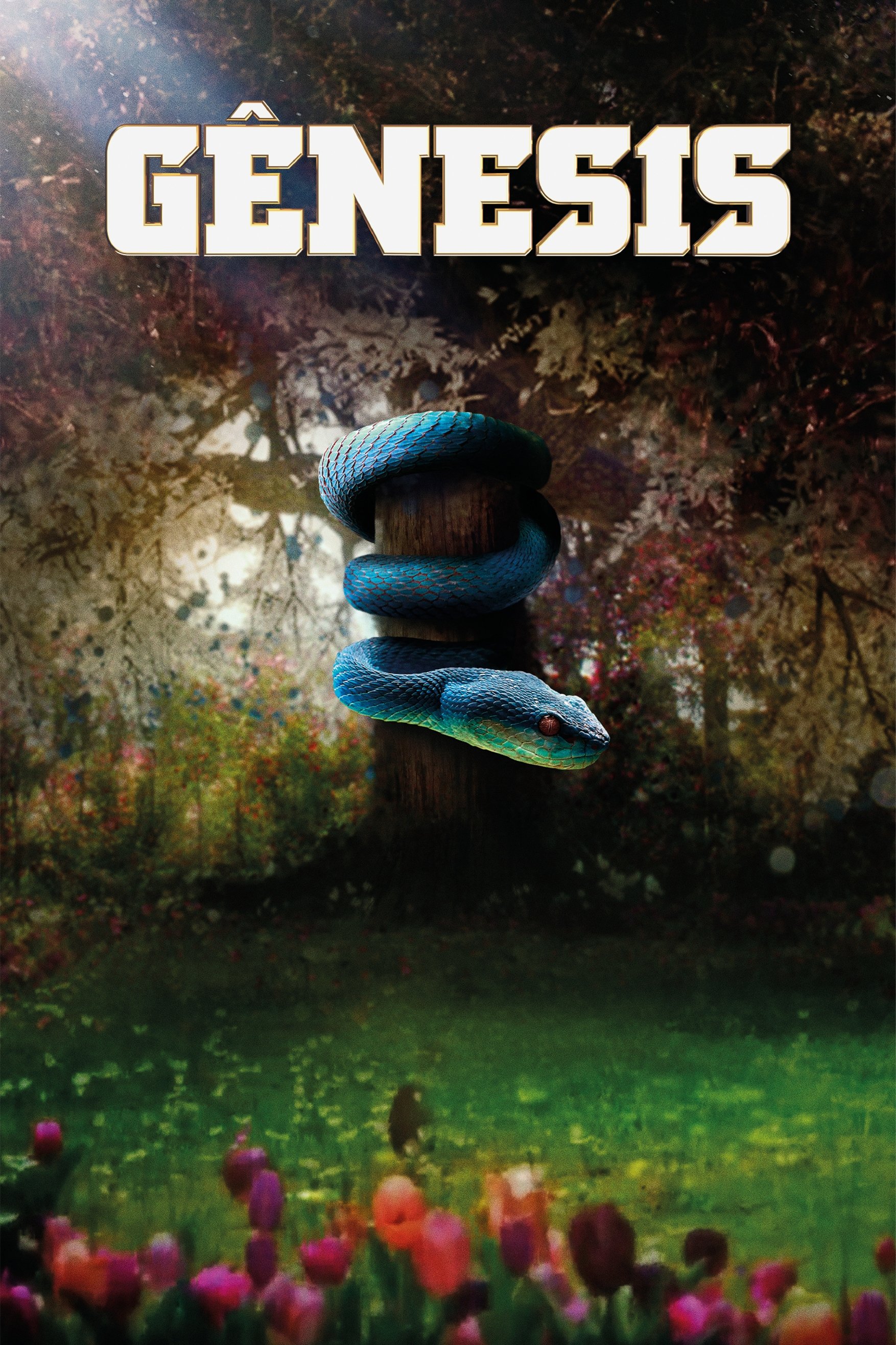 Poster de Temporada 1