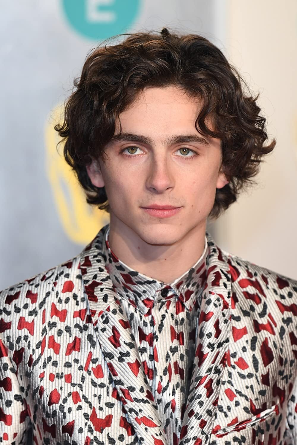 Foto de Timothée Chalamet