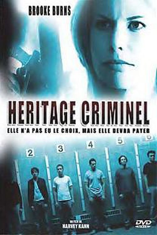 Affiche du film Héritage criminel