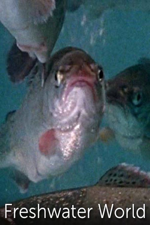 Poster de Freshwater World