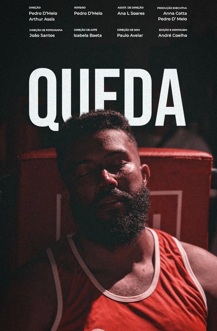 Poster de Queda