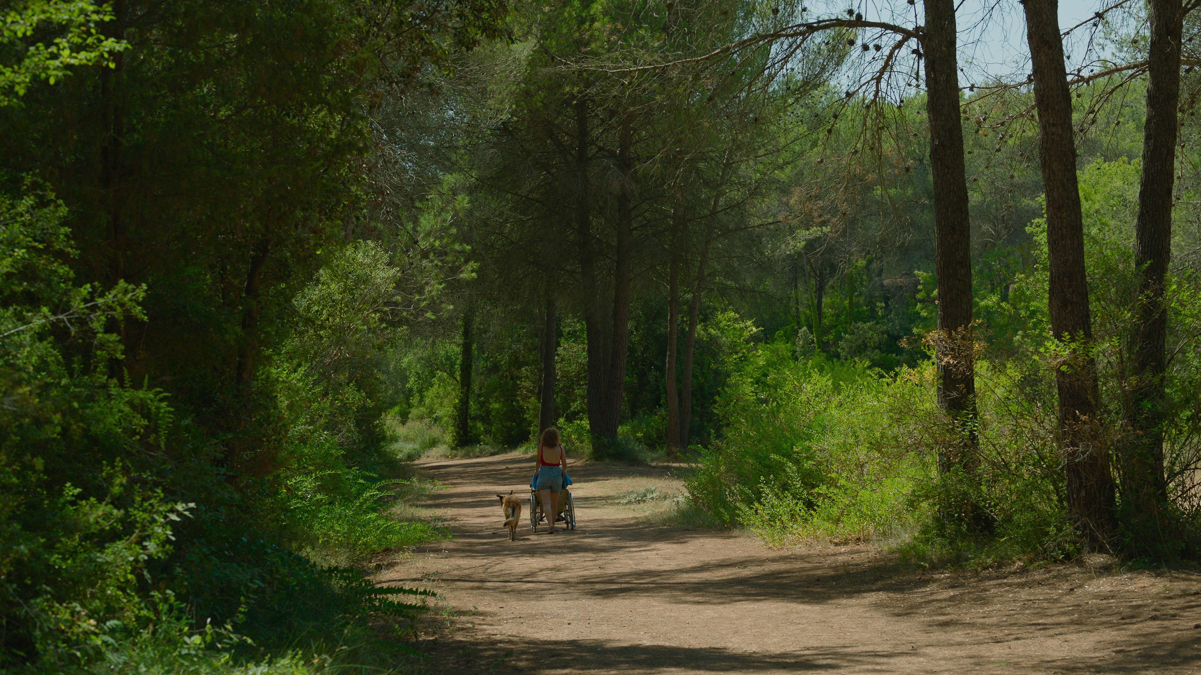 Backdrop image