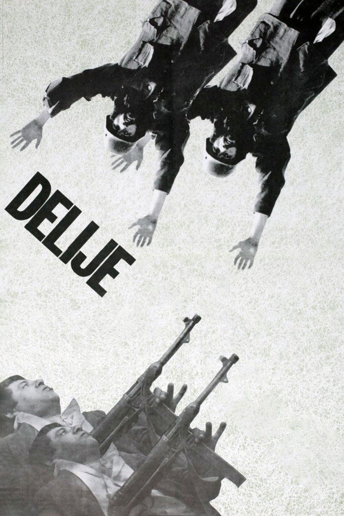 Poster de Делије