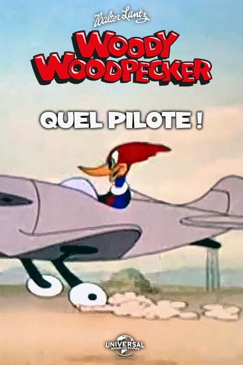 Quel Pilote !