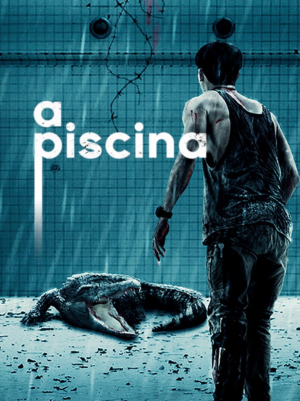 Poster de A Piscina