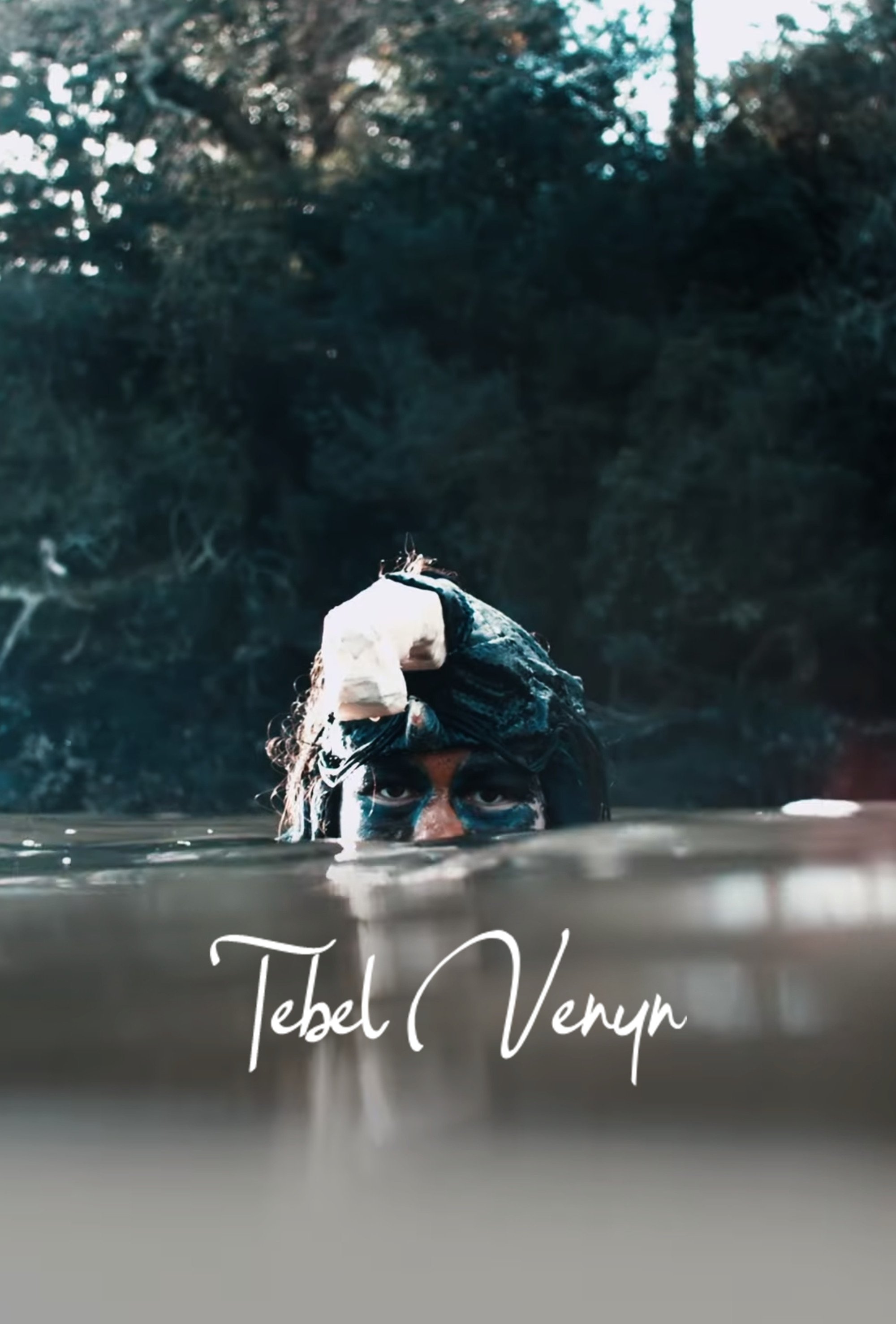 Poster de Tebel Venyn