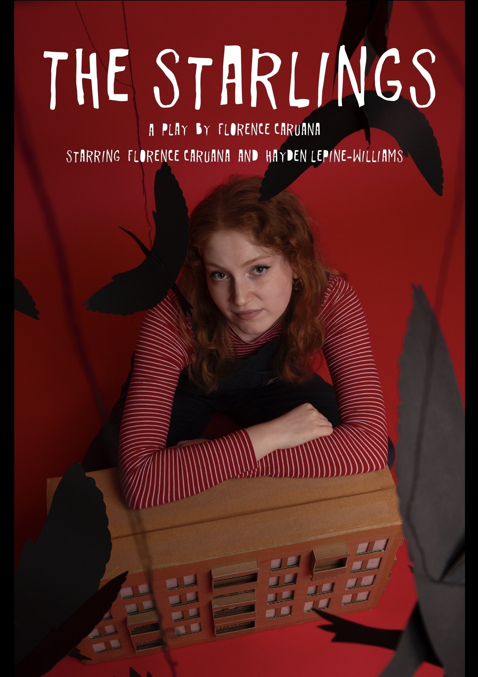 Poster de The Starlings