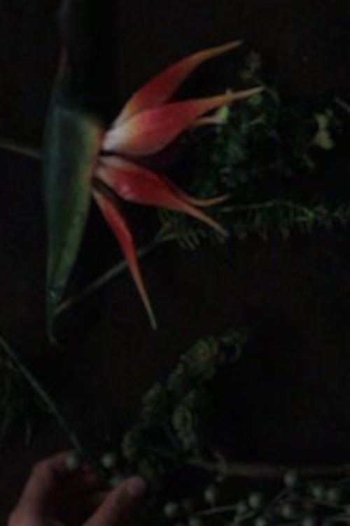 Poster de still life composition 'an accompaniment for life'