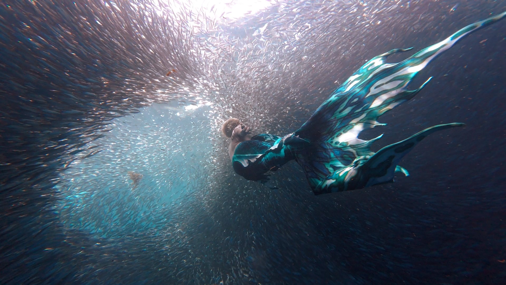 A Drop in the Ocean