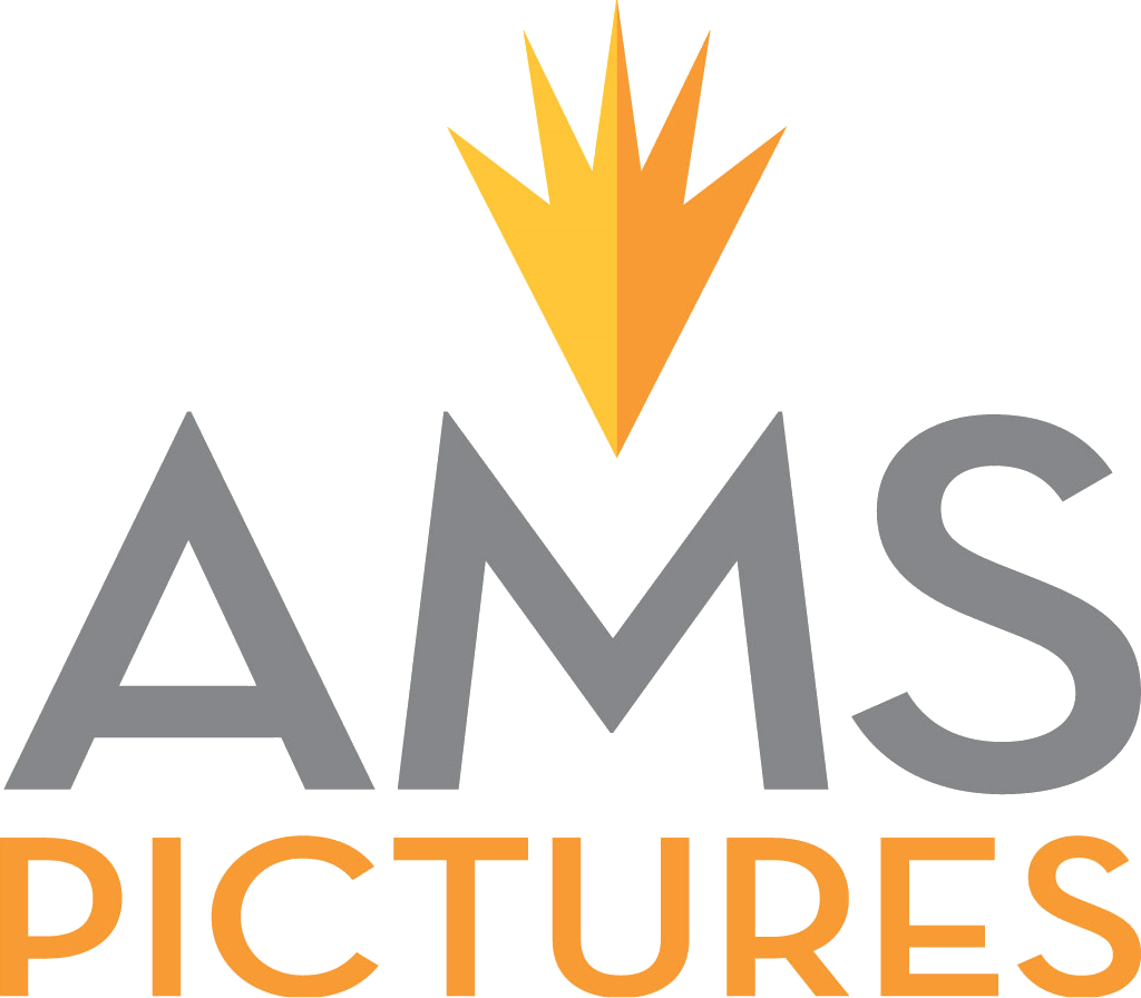 AMS Pictures