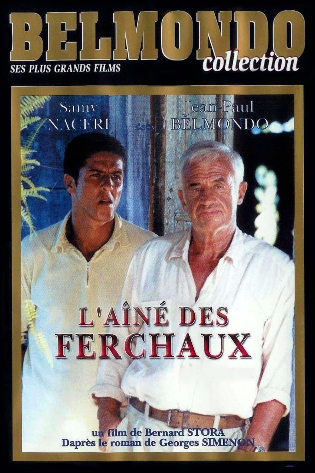 Poster de L'Aîné des Ferchaux