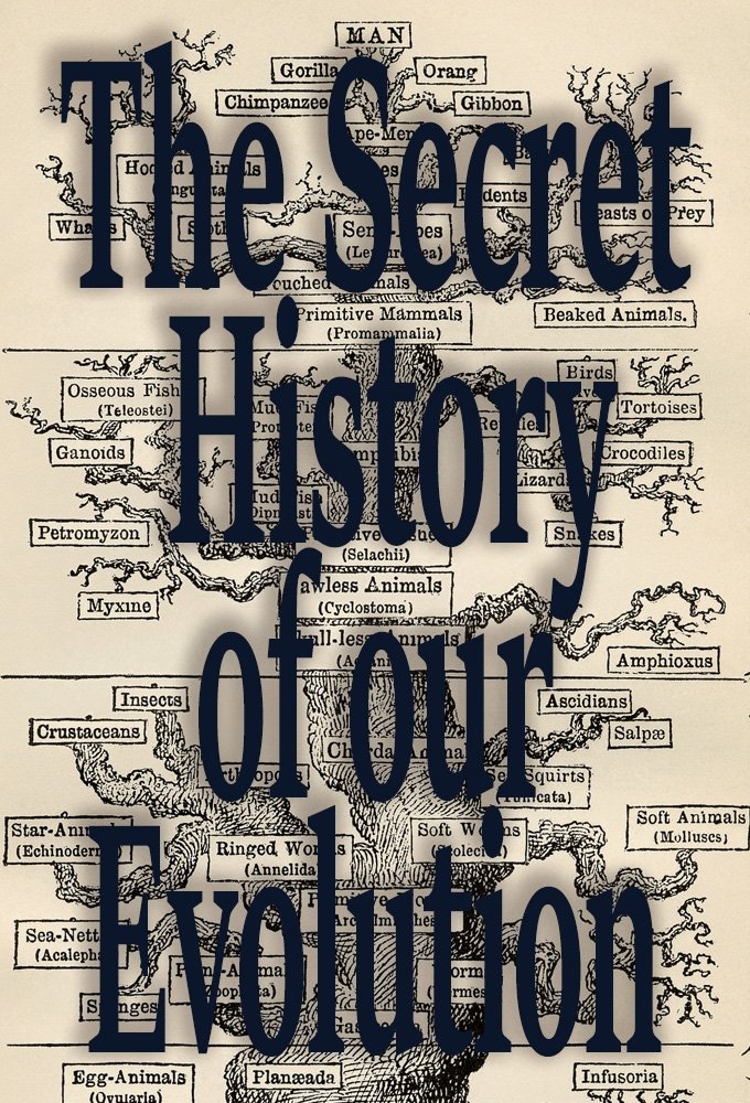 Poster de L'Histoire Secrète de notre Évolution
