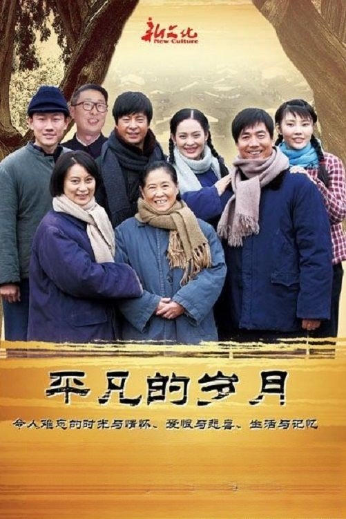 Poster de 平凡的岁月